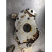 117W013 Engine Oil Pump From 2010 Ford F-150  5.4 9L3E6600AA